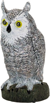 Mkejager Ugle, Harold Hoot