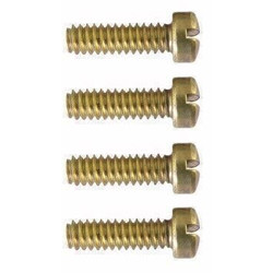 Screw (37010)