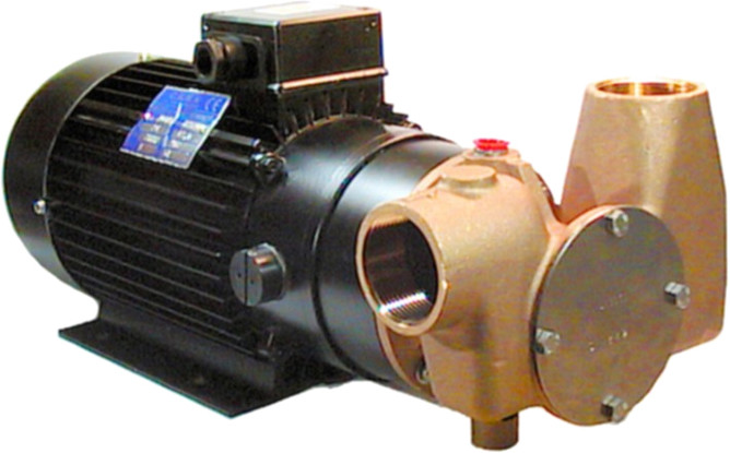 Jabsco selvsugende impellerpumpe 1 1/2' 24V