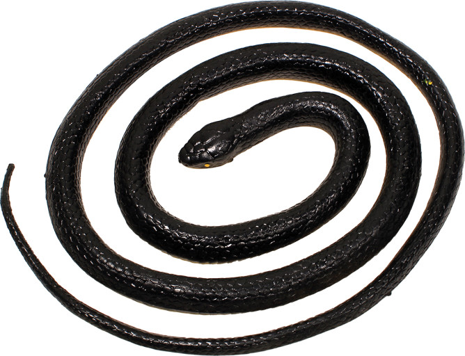 Måkejager, Orm
